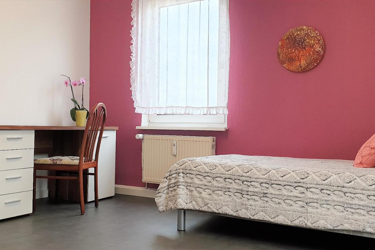 Apartment Bayreuth, Grosse Ferienwohnung Im Haus Mit Kunst, 3 Schlafzimmer, Kueche, Parkplatz מראה חיצוני תמונה