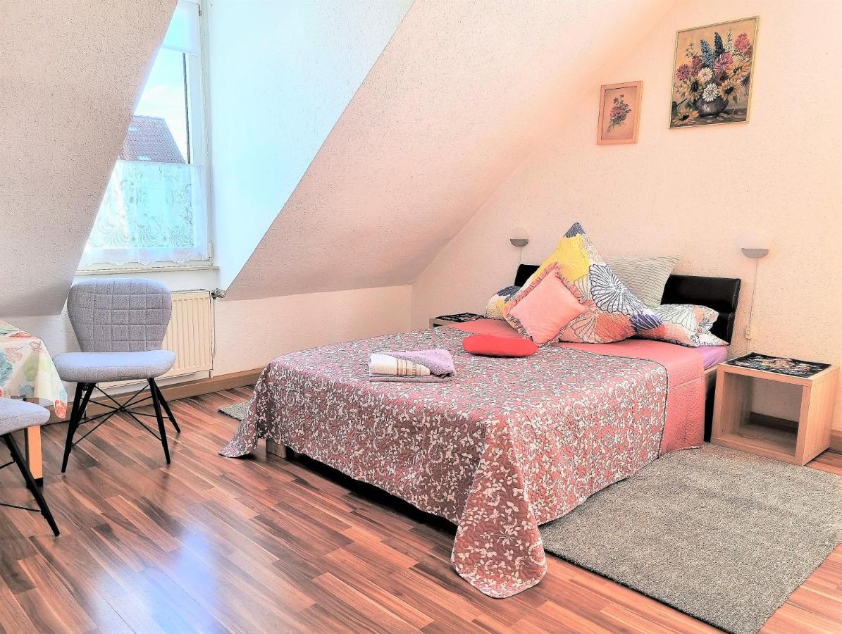 Apartment Bayreuth, Grosse Ferienwohnung Im Haus Mit Kunst, 3 Schlafzimmer, Kueche, Parkplatz מראה חיצוני תמונה